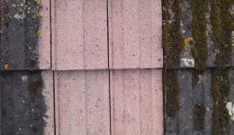 roof-tiles-cleaned-using-stonehealth-doff