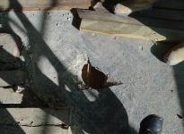Concrete Repairs North London