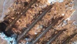 failed-reinforced-steel