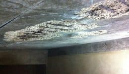 concrete-failure-due-to-moisture