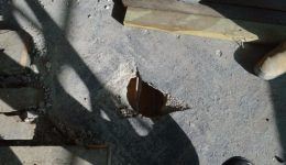 hole-in-concrete-floor