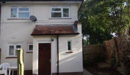 soil-investigation-found-tree root infestation