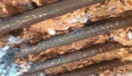 steel-bar-treated-with-anti-rust-inhibitor