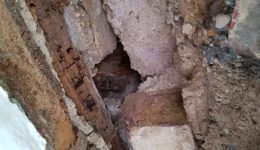 Rotten wooden lintel